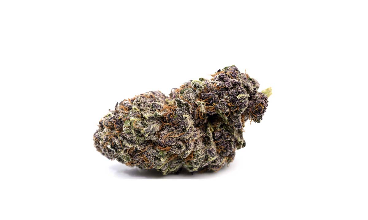 Cannabis Sorte Blute Bud Blute Apotheke Wirkung Thc Aroma Organic