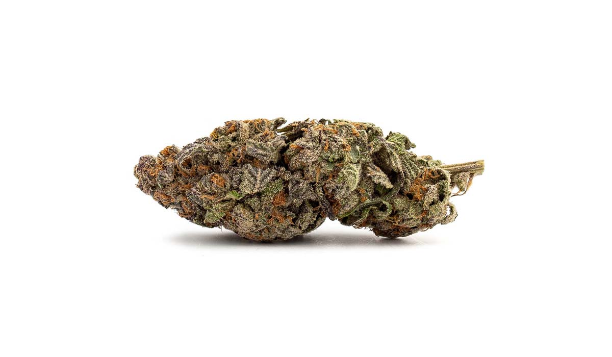 Super Silver Haze: Sorte, Aroma & THC Gehalt