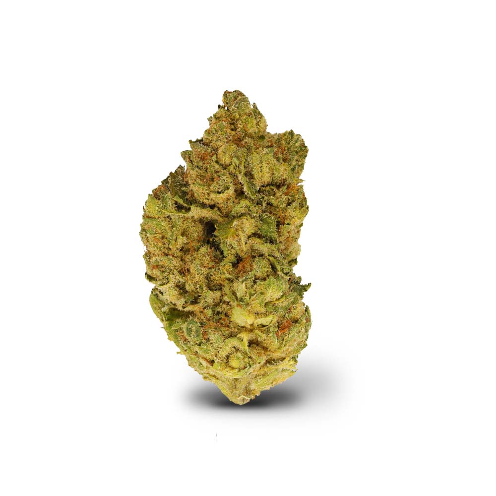 Legendary Larry Cannabis Arzt Rezept Apotheke Shop Blute Thc Wirkung