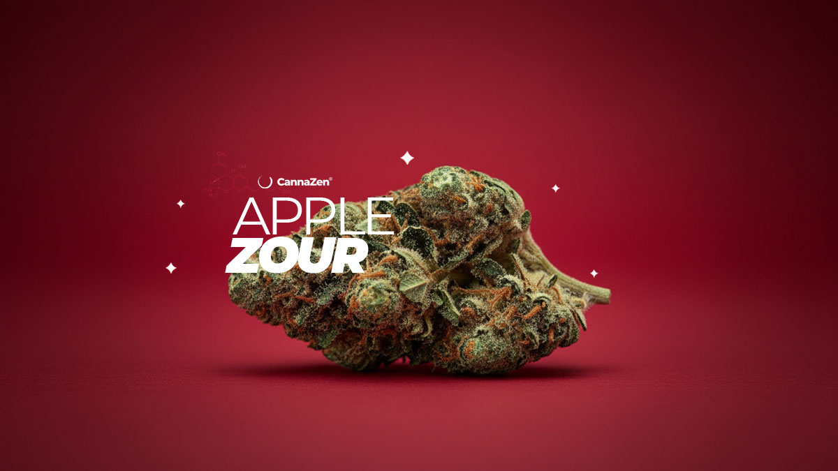 Larry OG: Sorte, Aroma & THC Gehalt