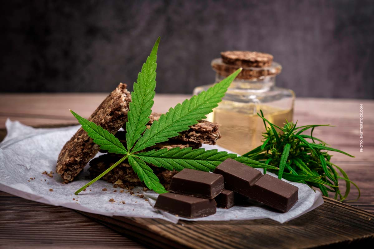 Cannabis Öl zum Kochen: Rezepte, Zubereitung, Genuss & Infusionstechniken