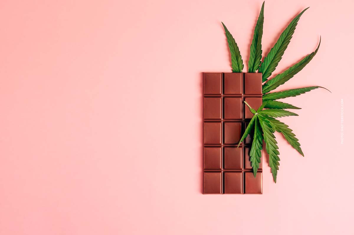 Grape Pie: Sorte, Aroma & THC Gehalt