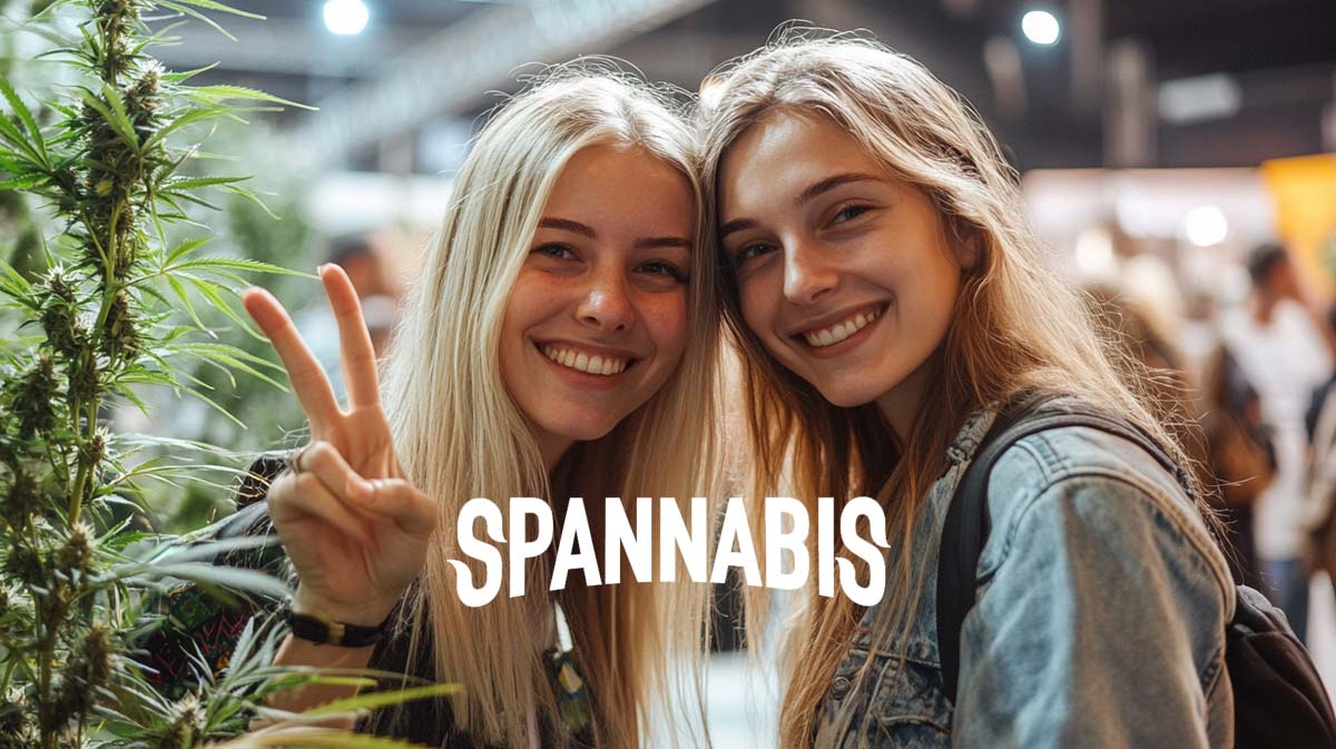 MPU nach Cannabis: Prüfung, Begutachtung & Nachweis