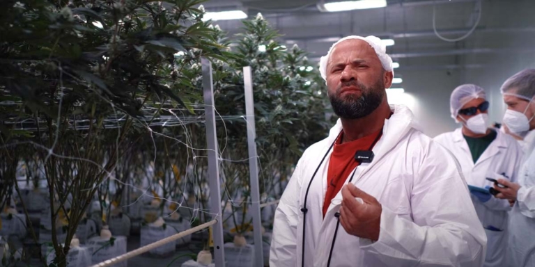 Cannabis Recht Deutschland: Gesetze, Medizin & Patienten