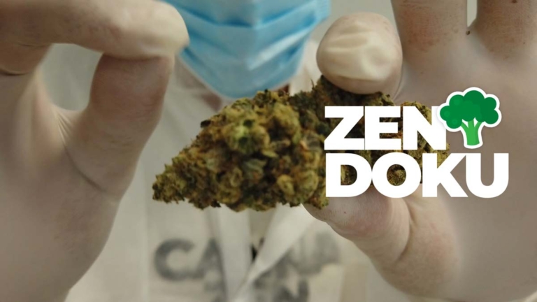 Terpene und ihr möglicher Einfluss auf Krankheiten: Medizinisches Cannabis – Studien