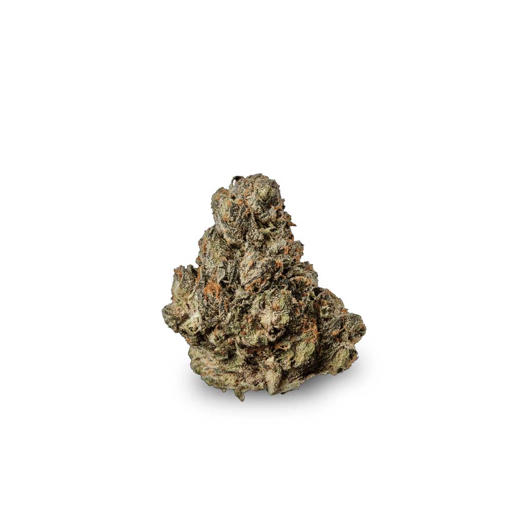 Shop Cannabis Rezept Cannabisblute Blute Glaced Apricot Gelato Weed Bestellen Kaufen