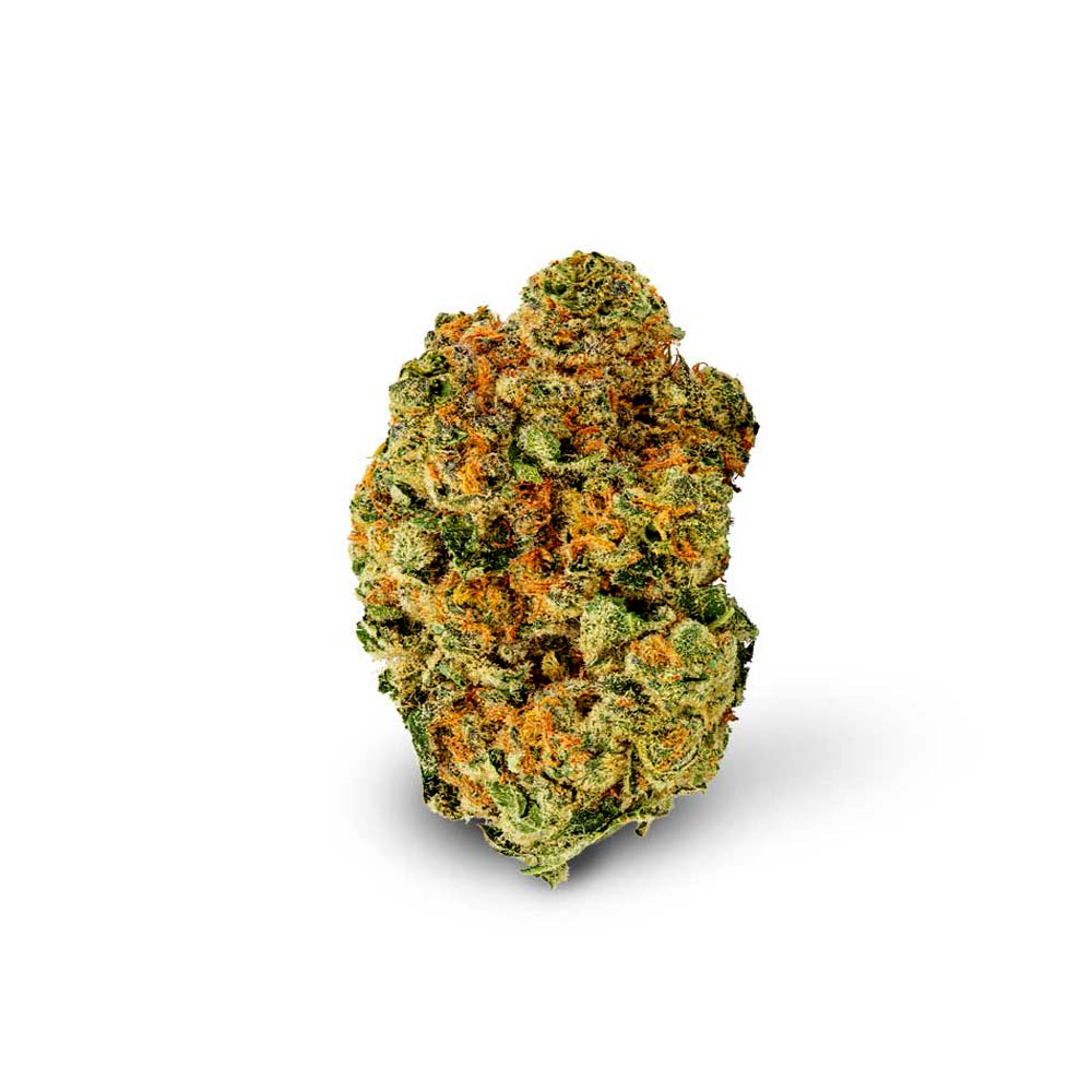 Shop Cannabis Rezept Cannabisblute Blute Midnight Mimosa Black Cherry Punch Avaay Bud Weed Bestellen Kaufen Shop