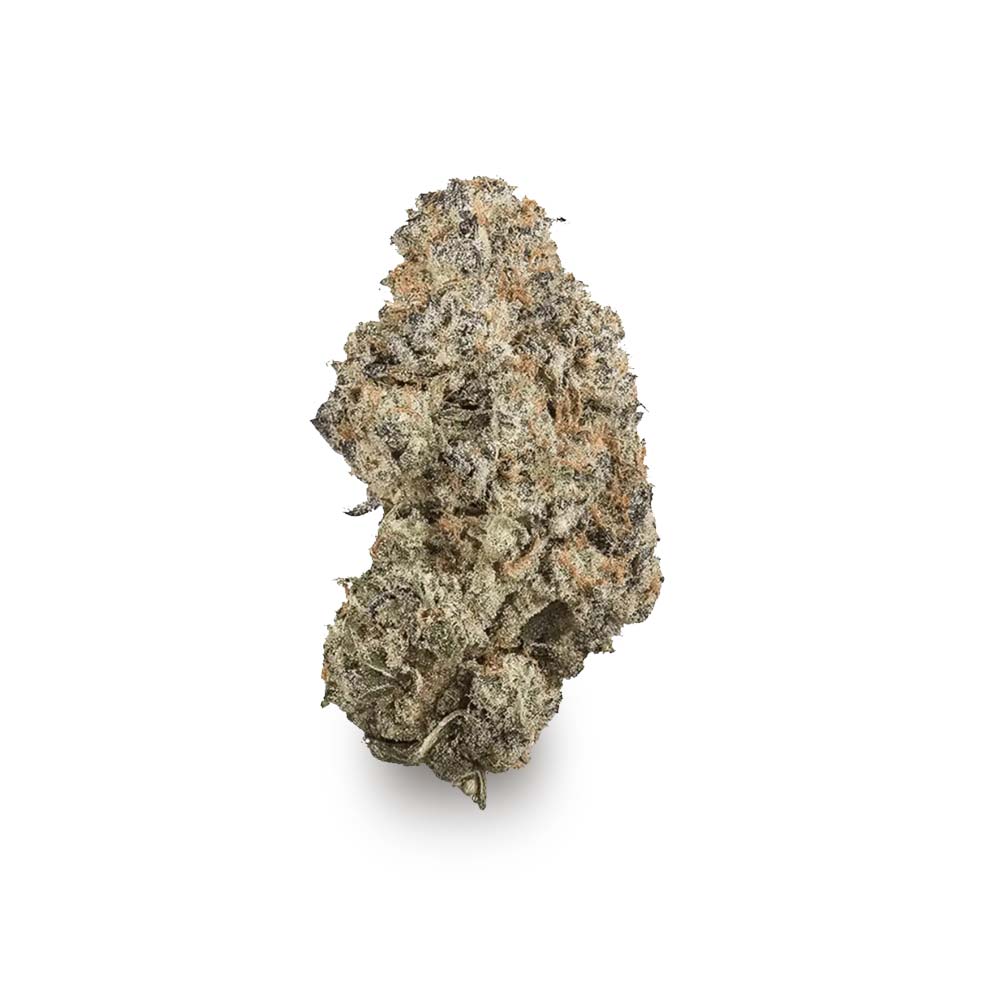 Cannabis Bluete Shop Top Jack Flash 5 Adrex Pharma